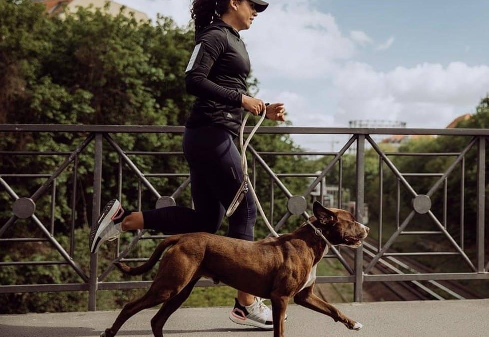 RAZONES PARA SALIR A CORRER CON TU PERRO