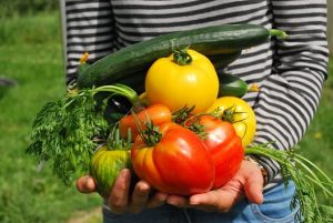 La buena alimentación, aspecto clave